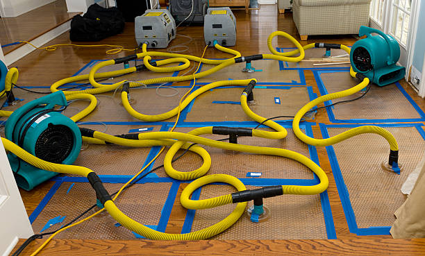 Professional Basement Flood Cleanup technician working in Cowiche, WA